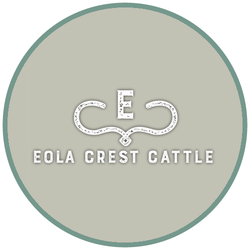 Eola Crest Cattle McMinnville Oregon