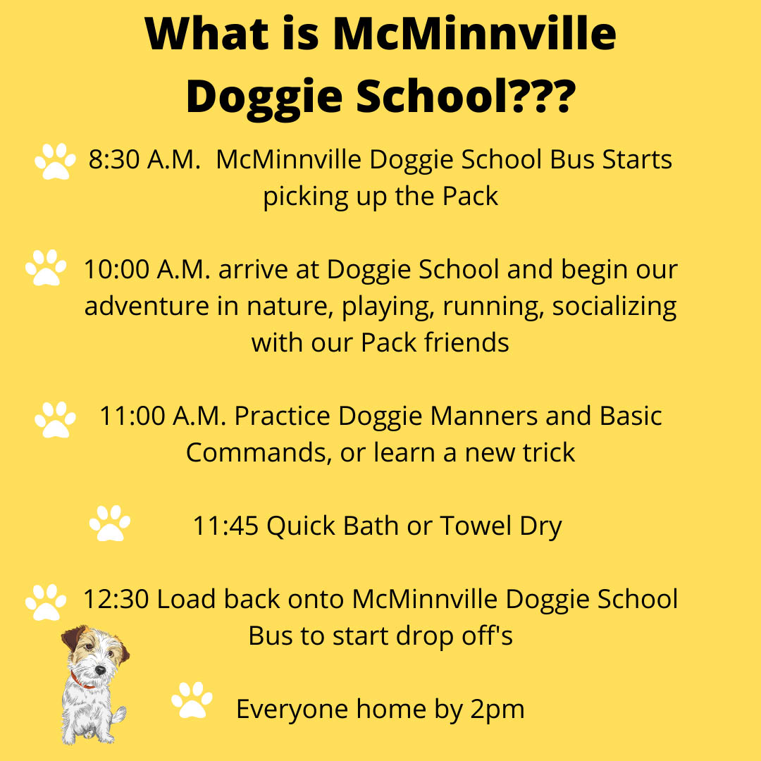 McMinnville Doggie School