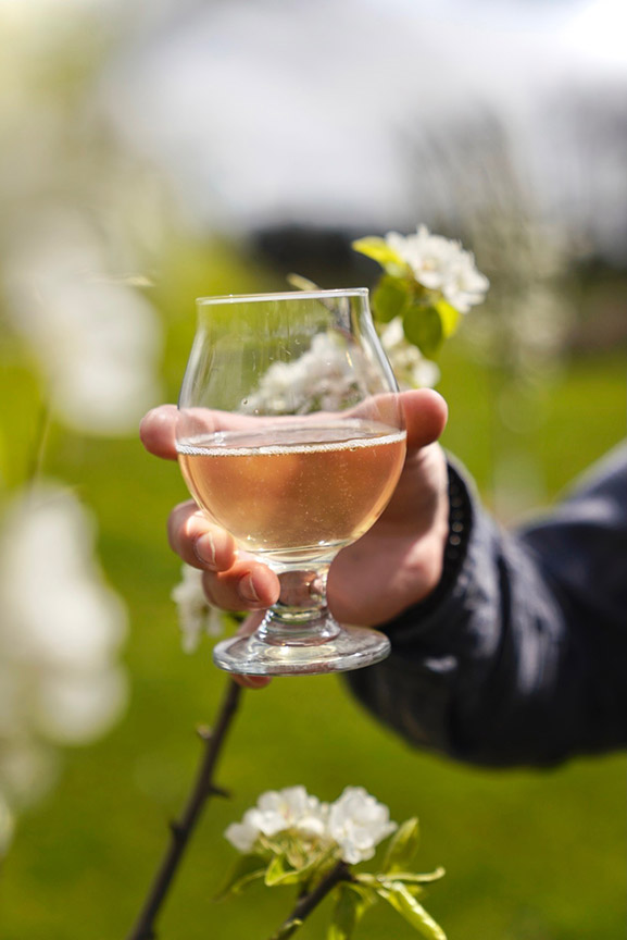 photo of person holding a glass of RAW cider
