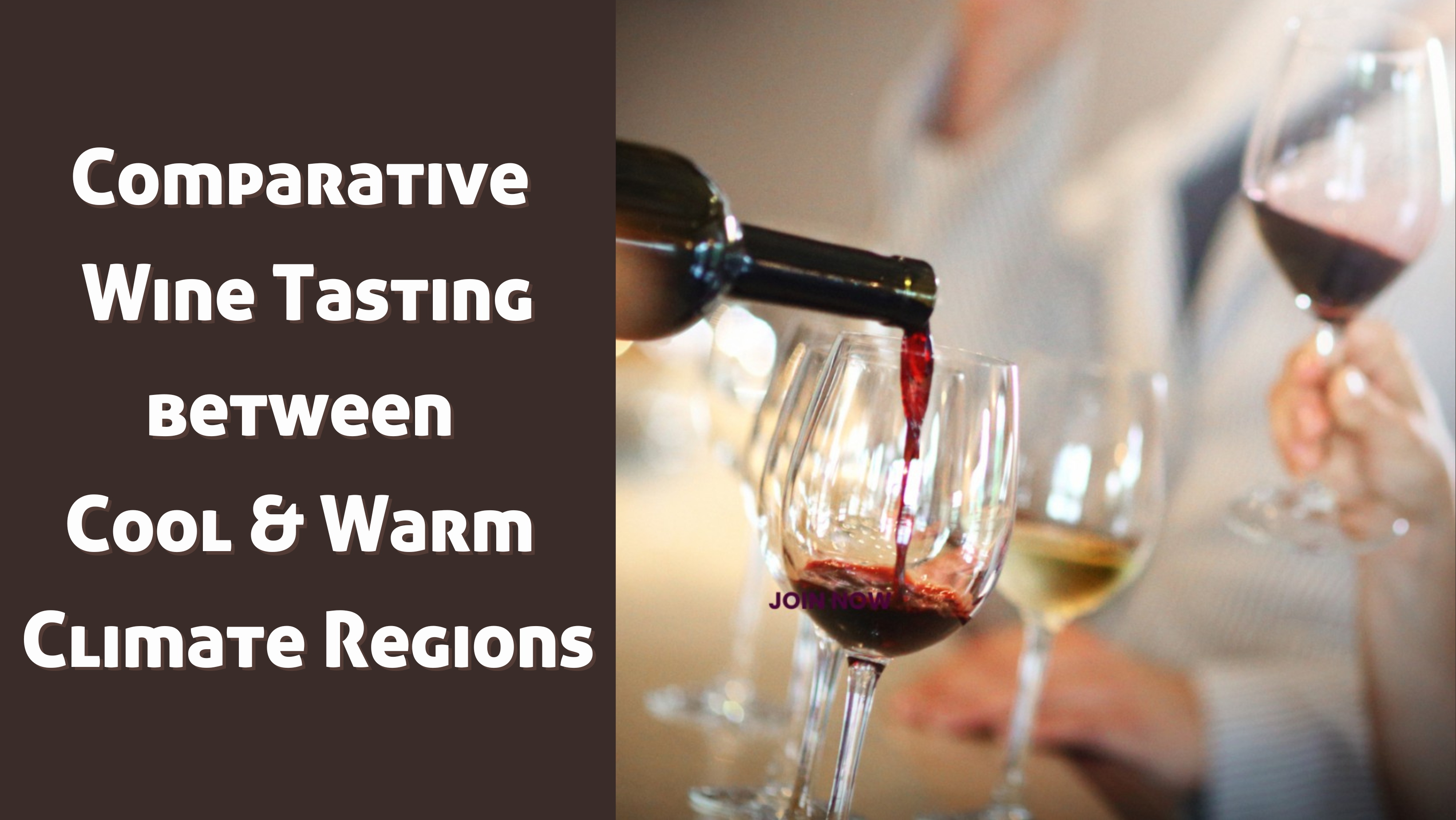 Comparative Wine Tasting – Cool vs. Warm Climate Wines